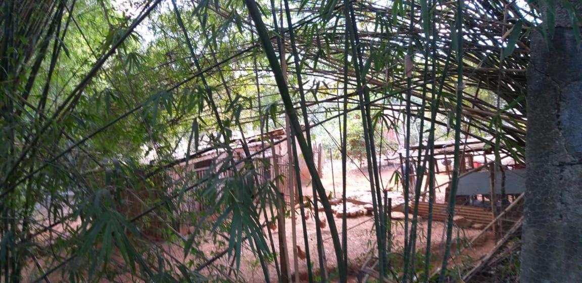 Pousada Sírius São Roque de Minas Exterior foto